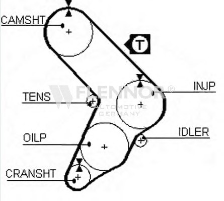 FLENNOR 4955 Timing Belt